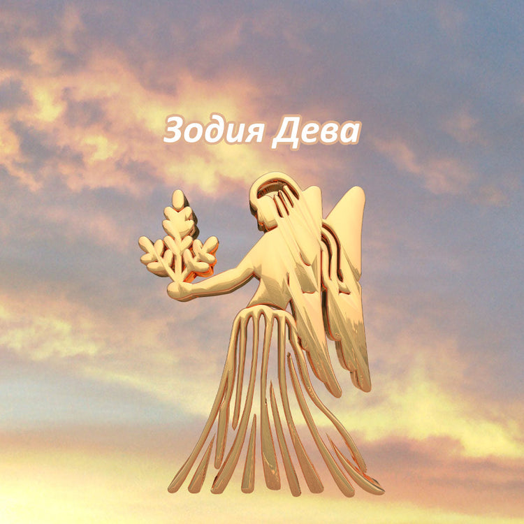 Зодия Дева 2026